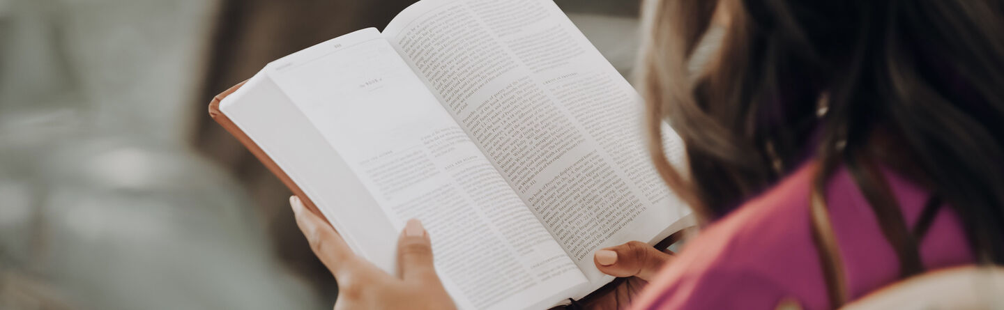 ส่วนบนสุดของเว็บไซต์